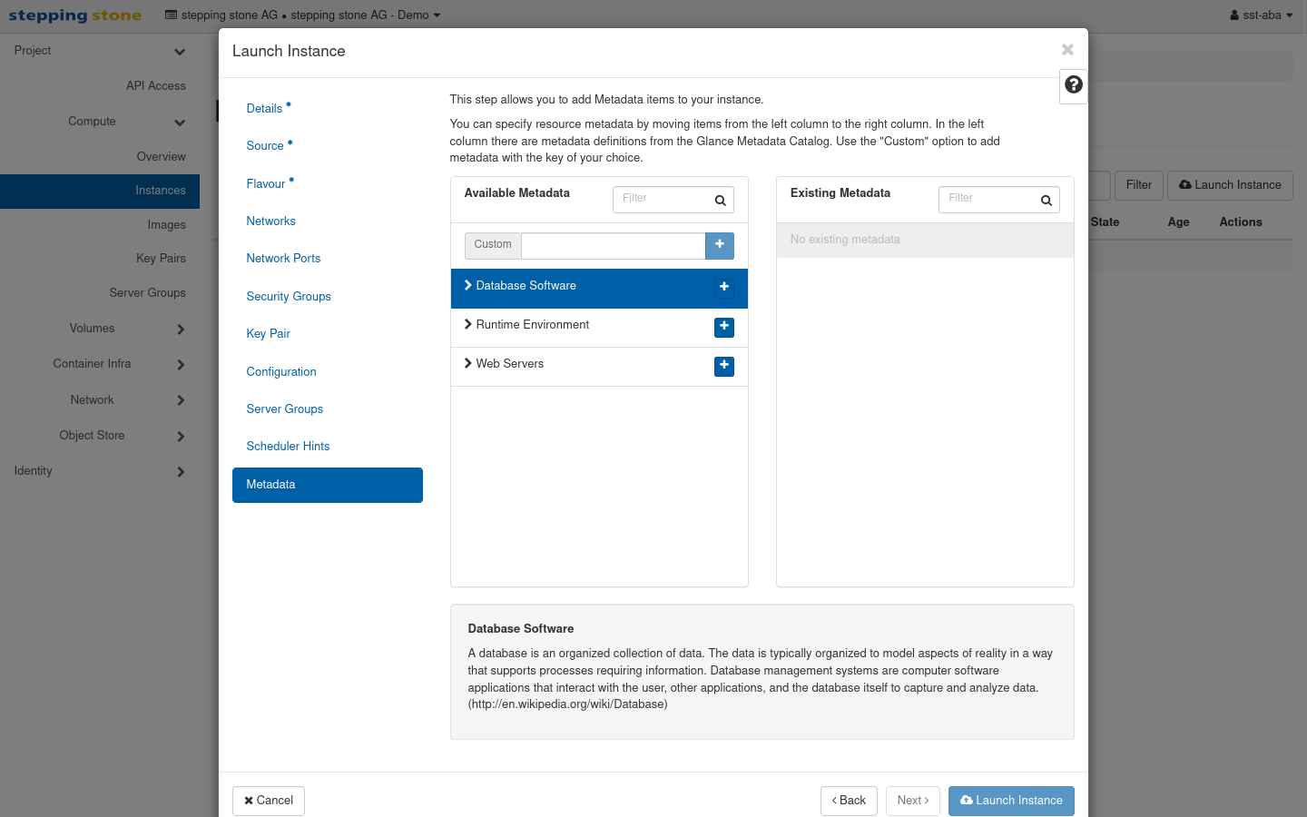 cloud_server_12_dashboard_launch_instance_server_metadata.png